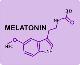 Mélatonine